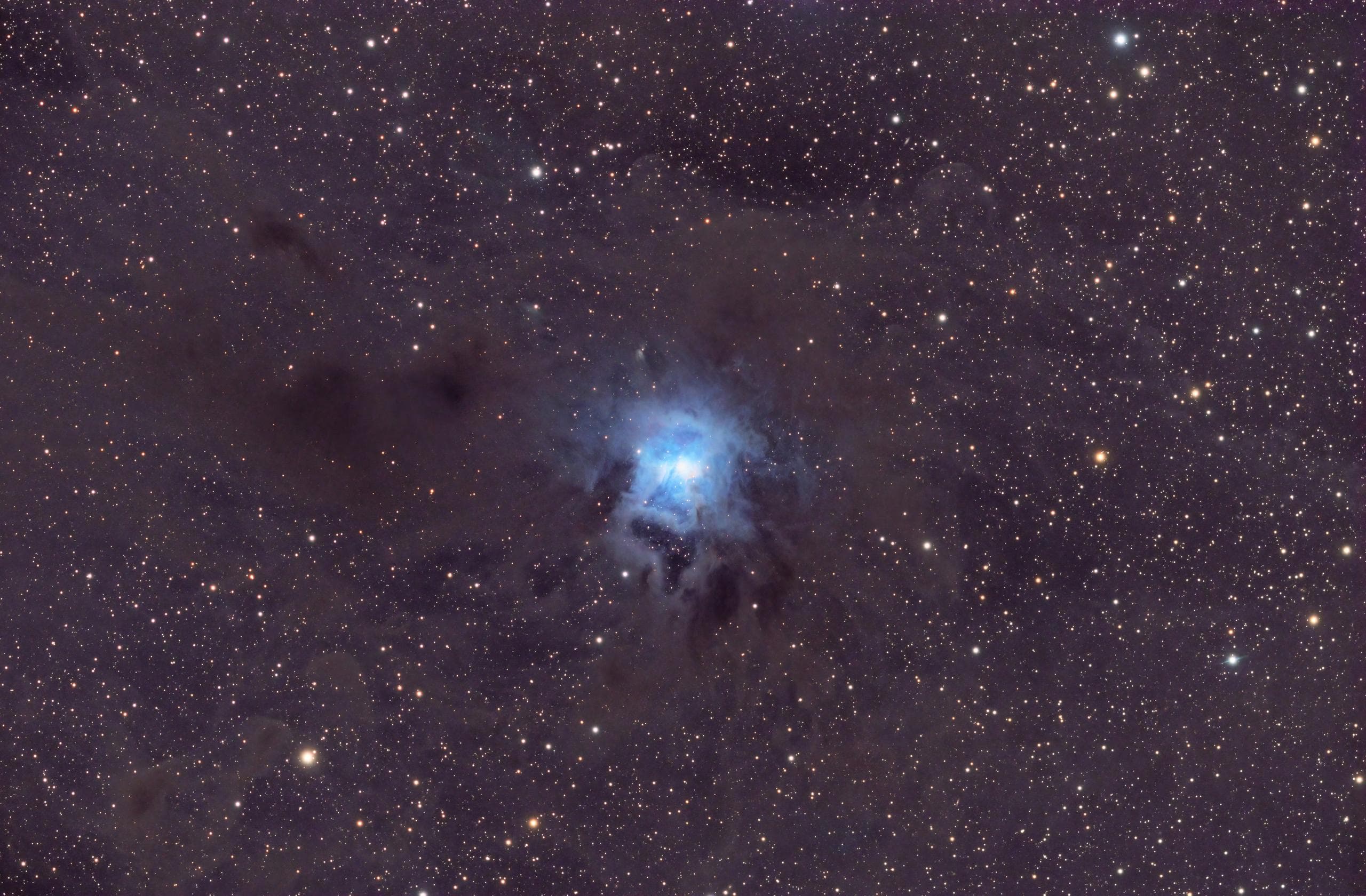 Iris nebula